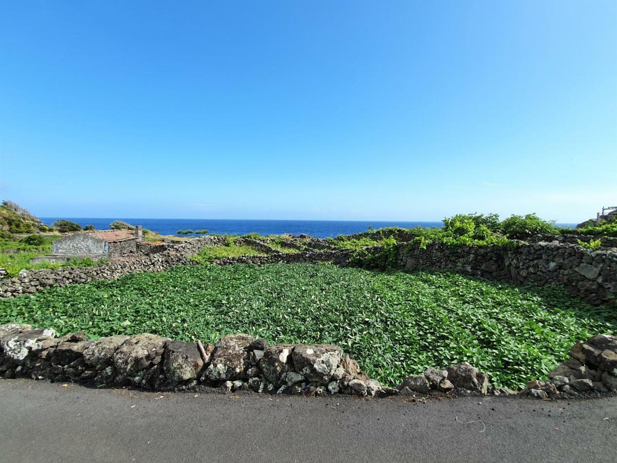Вілла Casinha De Nesquim Calheta de Nesquim Екстер'єр фото